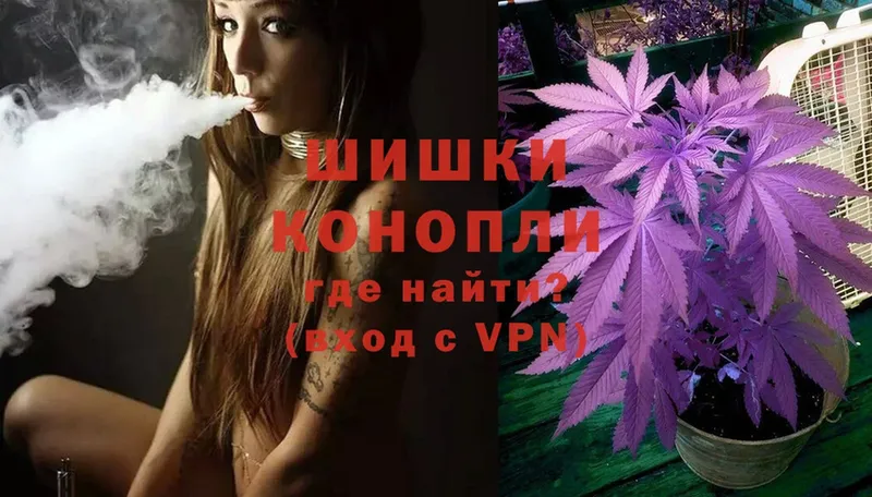 где можно купить   Мытищи  ссылка на мегу как зайти  Бошки Шишки VHQ 